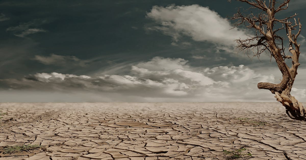 Trump e a Crise Climática: Uma Tragédia Anunciada