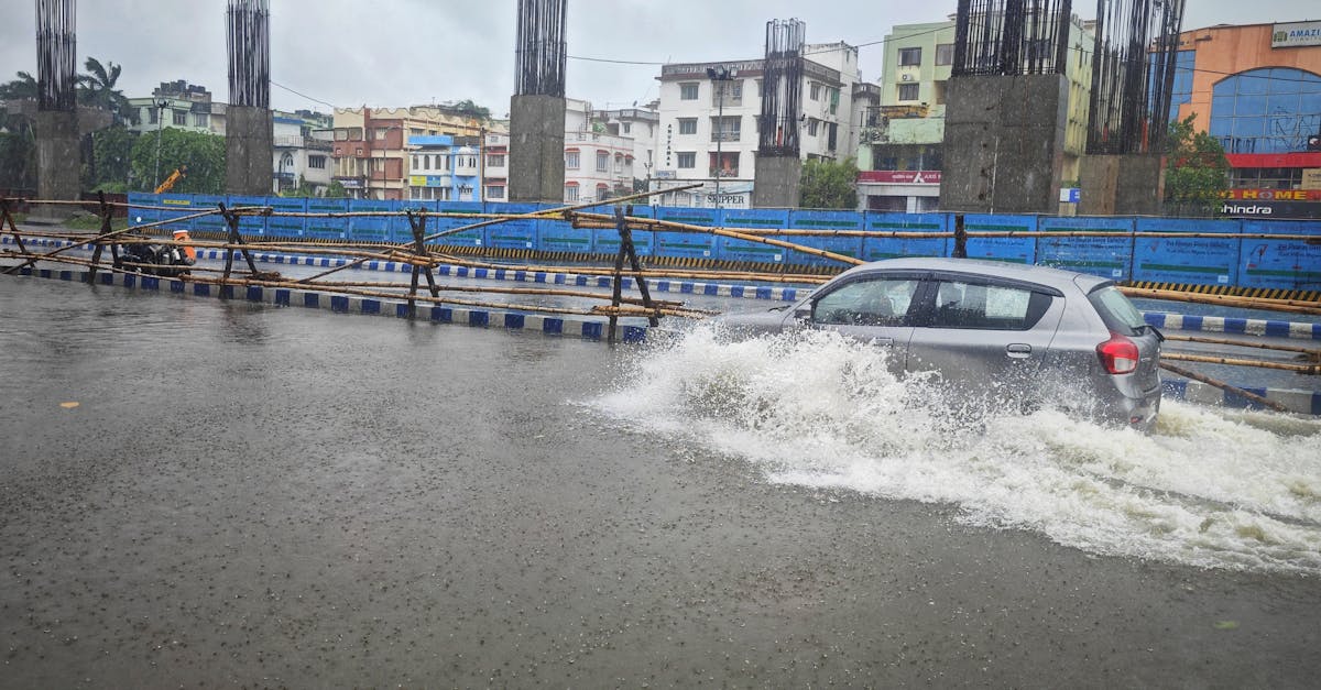 Árvore Cai no Parque dos Poderes após Forte Vento e Chuva