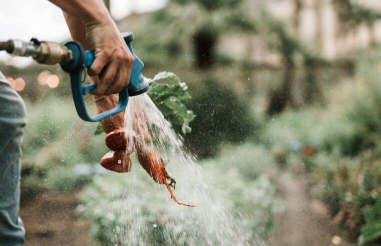 Oeste Baiano: Irrigação Líder no Brasil – Tecnologia e Produtividade Agrícola