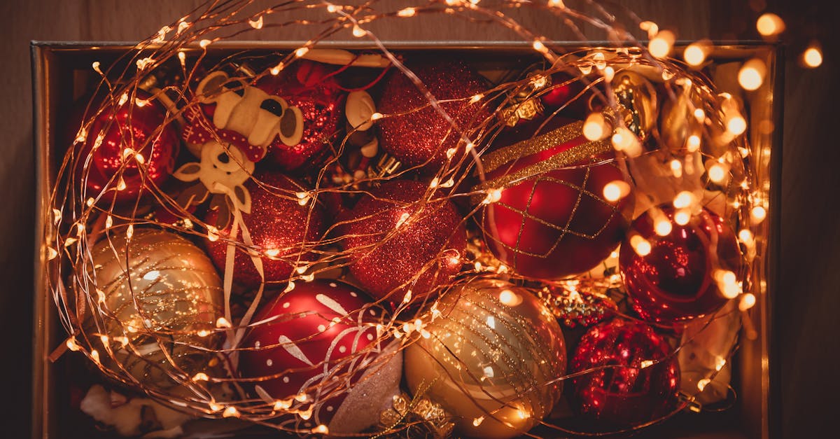 Natal: guia completo do feriadão com eventos imperdíveis